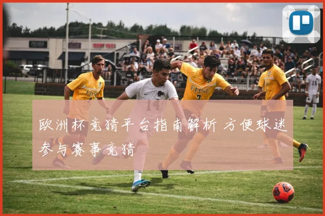 欧洲杯竞猜平台指南解析 方便球迷参与赛事竞猜